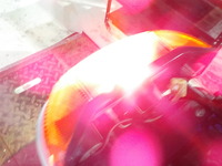 DSCN6955