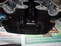 DSCN8705