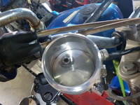 DSCN5204