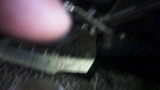 xelvis20111206ws (3)