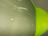 DSCN0413