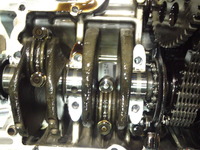SN3U1156