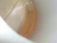 DSCN0240