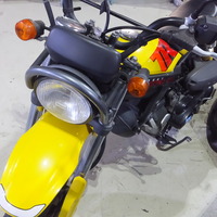 DSCF1011