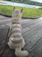 20130802-06  (3)