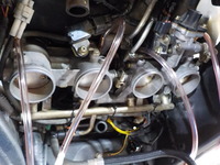 DSCN2237