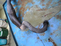 Image020