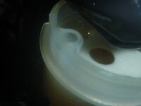 P1250799
