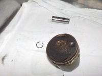 DSCN6161