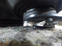 DSCN5748