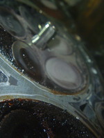P1200589