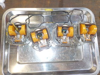DSCN8757