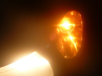P1200284