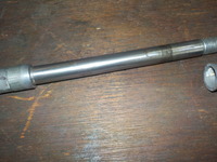 DSCN7347