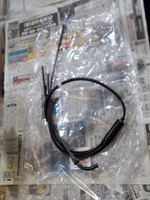 DSCN6544