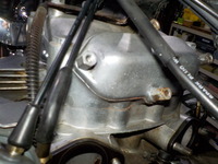 DSCN3925