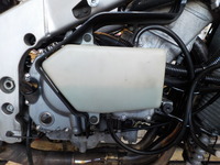 DSCN8942