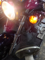 DSCN9384
