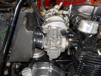 DSCN5989