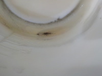 DSCN0845