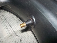 DSCN7350