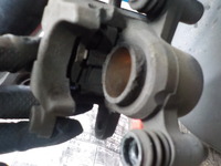 DSCN5641