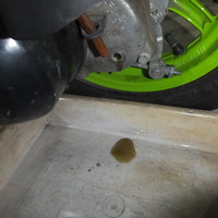 DSCF0619