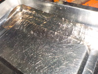 DSCN0409