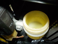 DSCN8877