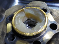 DSCN2517