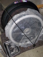 DSCN5574