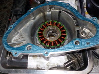 DSCN6481