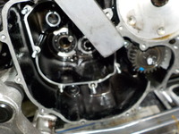 DSCN7696