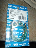DSCN6690