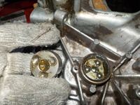 DSCN6151