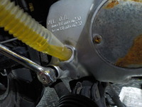 DSCN4546