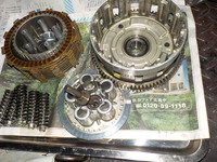 DSCN5649