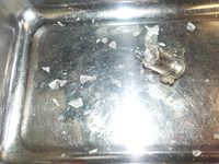 DSCN0479