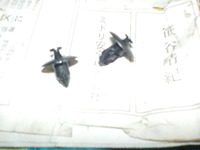 DSCN0511