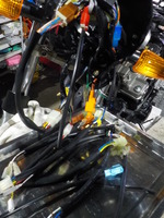 DSCN5594