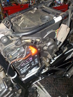 DSCN6797