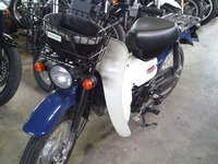 birdir50fi-ba43a20130331ws (3)