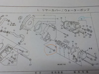 DSCN4597