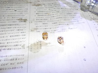 DSCN9274