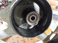 DSCN4521
