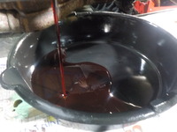 DSCN6529