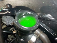 DSCN4774