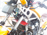 DSCN6884