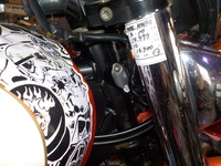 DSCN7778