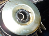 DSCN7780